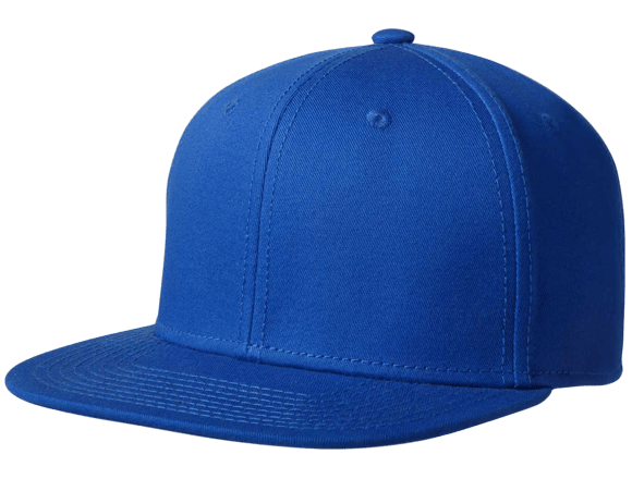 Robijn Gezamenlijk Raak verstrikt Kingcap Original Snapback 75S